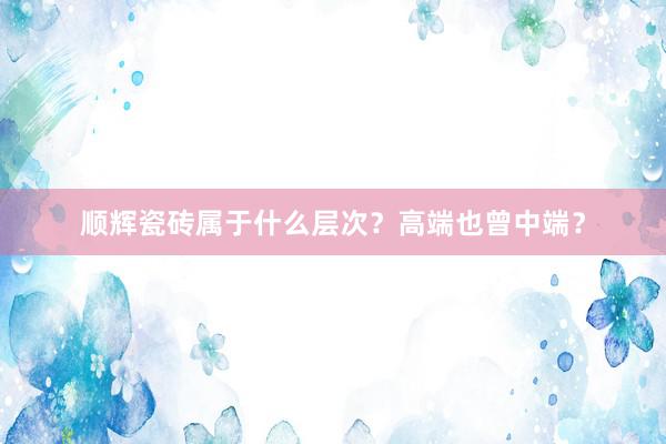 顺辉瓷砖属于什么层次？高端也曾中端？