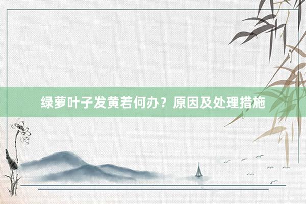 绿萝叶子发黄若何办？原因及处理措施