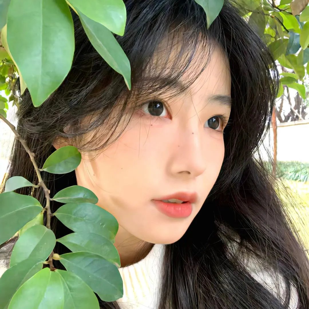 哈林行动