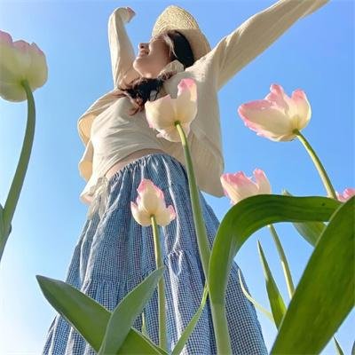 迷局之拨云见日